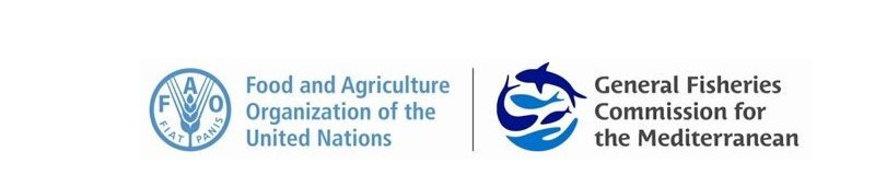 General Fisheries Commission for the Mediterranean - GFCM