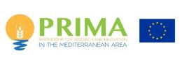 Prima